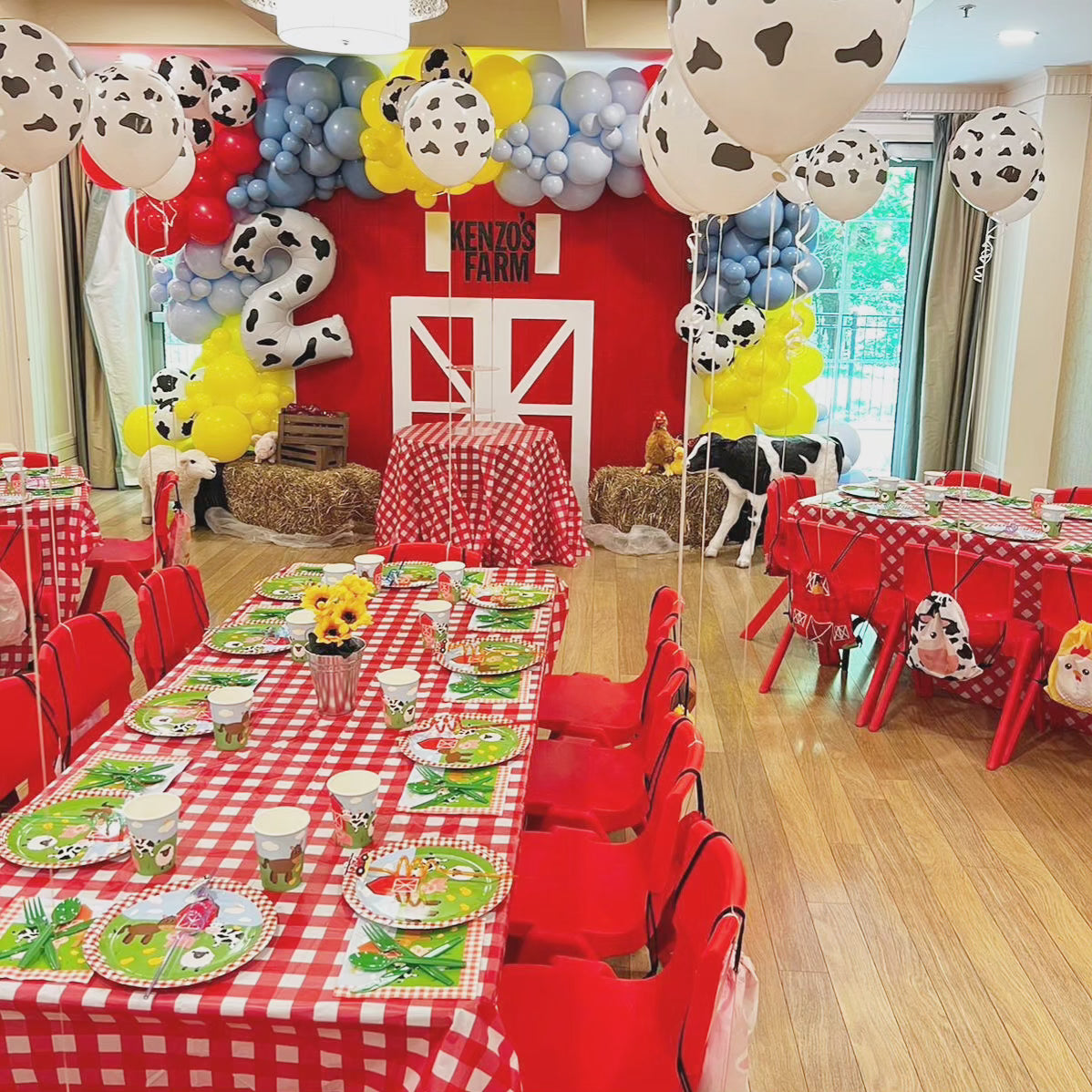 "Kenzo's Farm" Balloon Decor Package