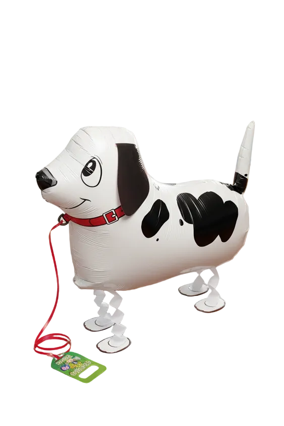 Puppy Pointer
