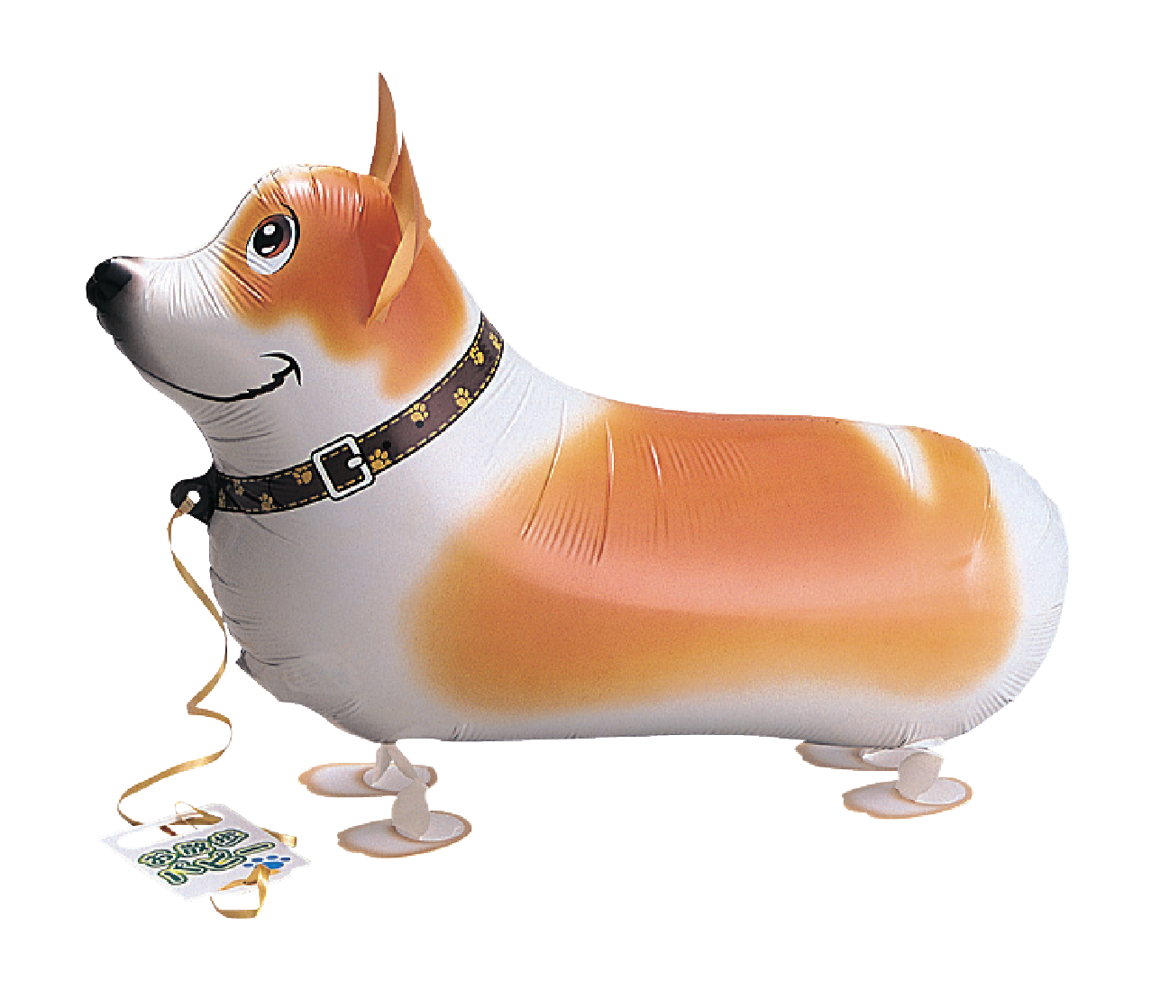Puppy Corgi