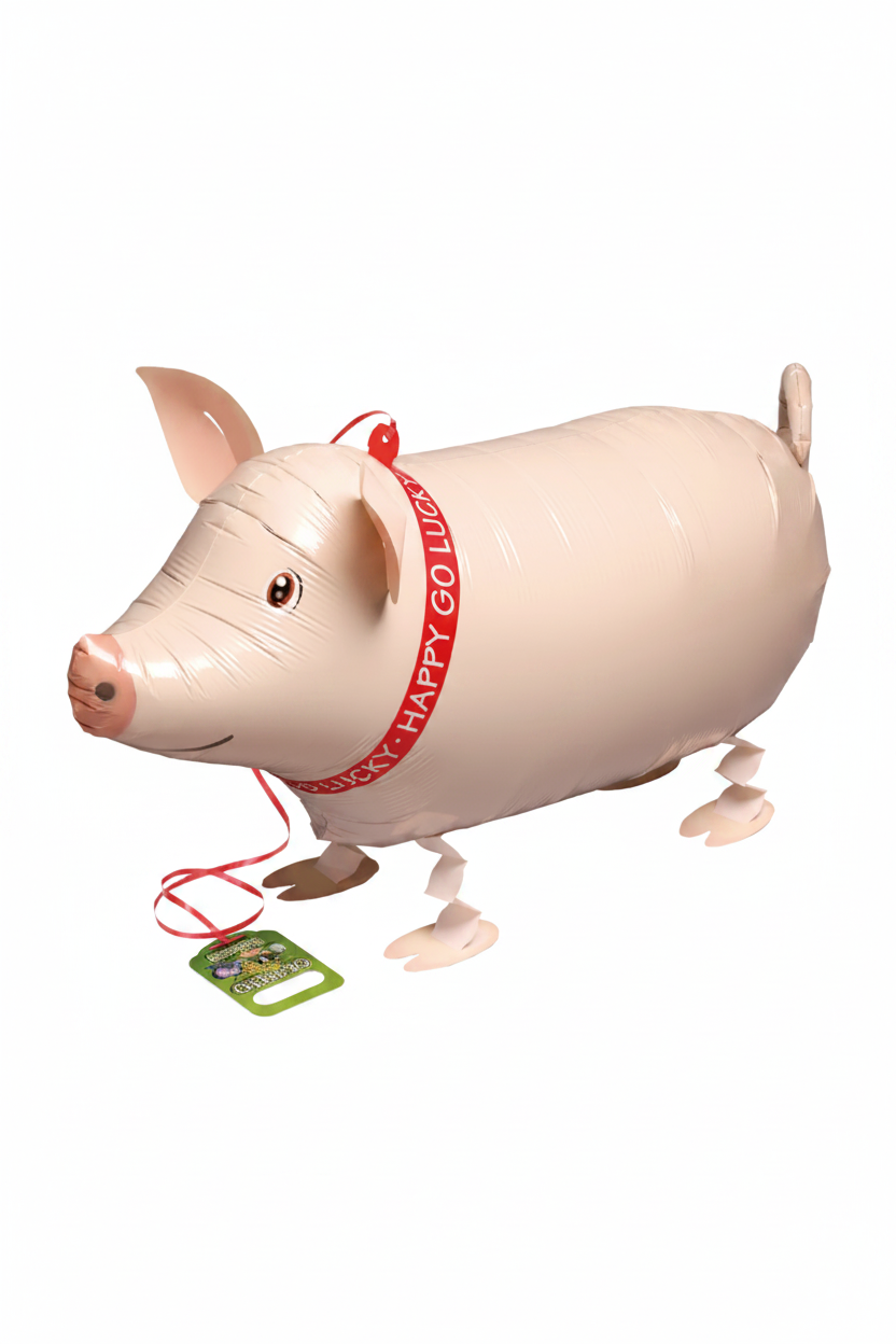 Pig