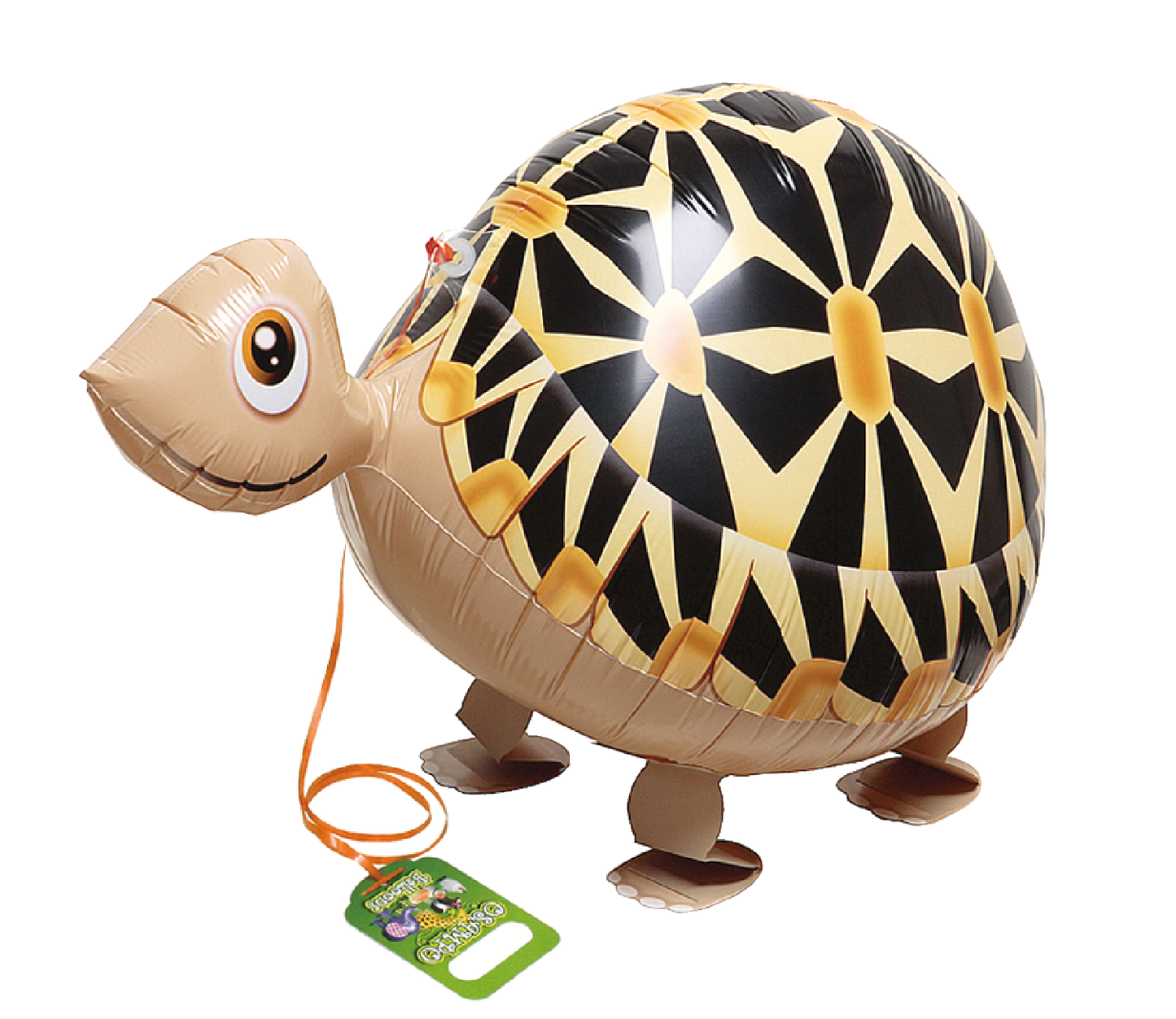 Tortoise