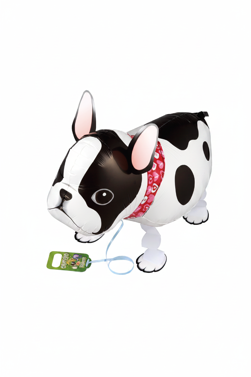 French Bull dog