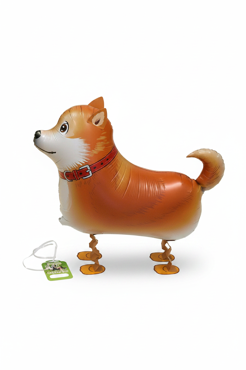 Puppy Shiba - Inu