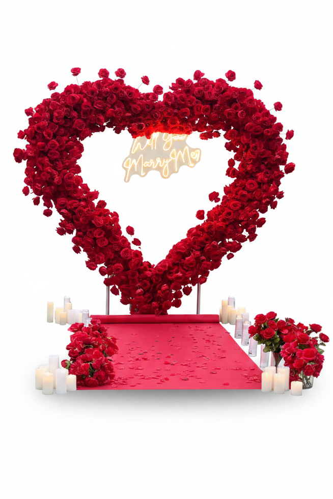 Dream Proposal TO