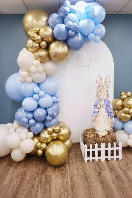 Peter Rabbit Balloon Decor Package
