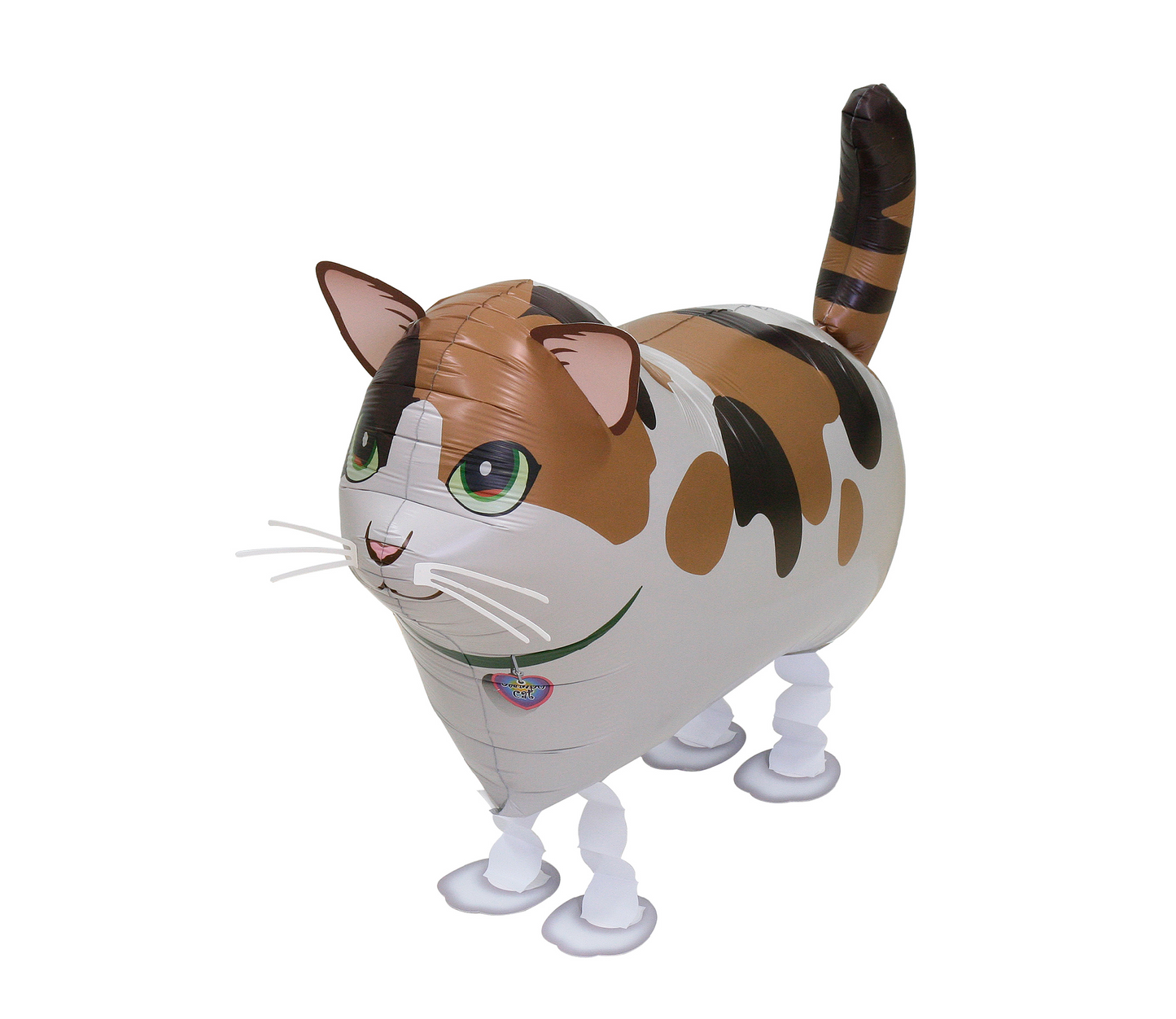 Calico Cat