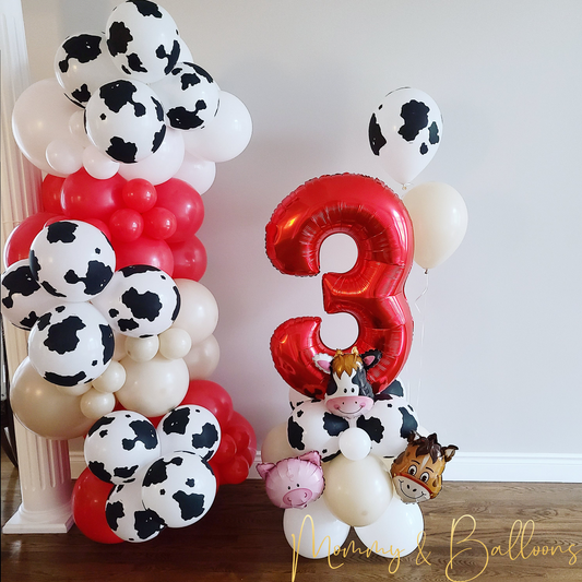 "On The Farm" Celebration Set