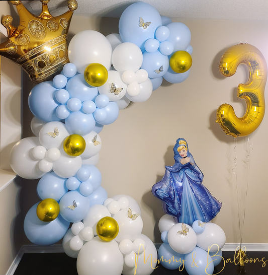 "Cinderella" Celebration Set